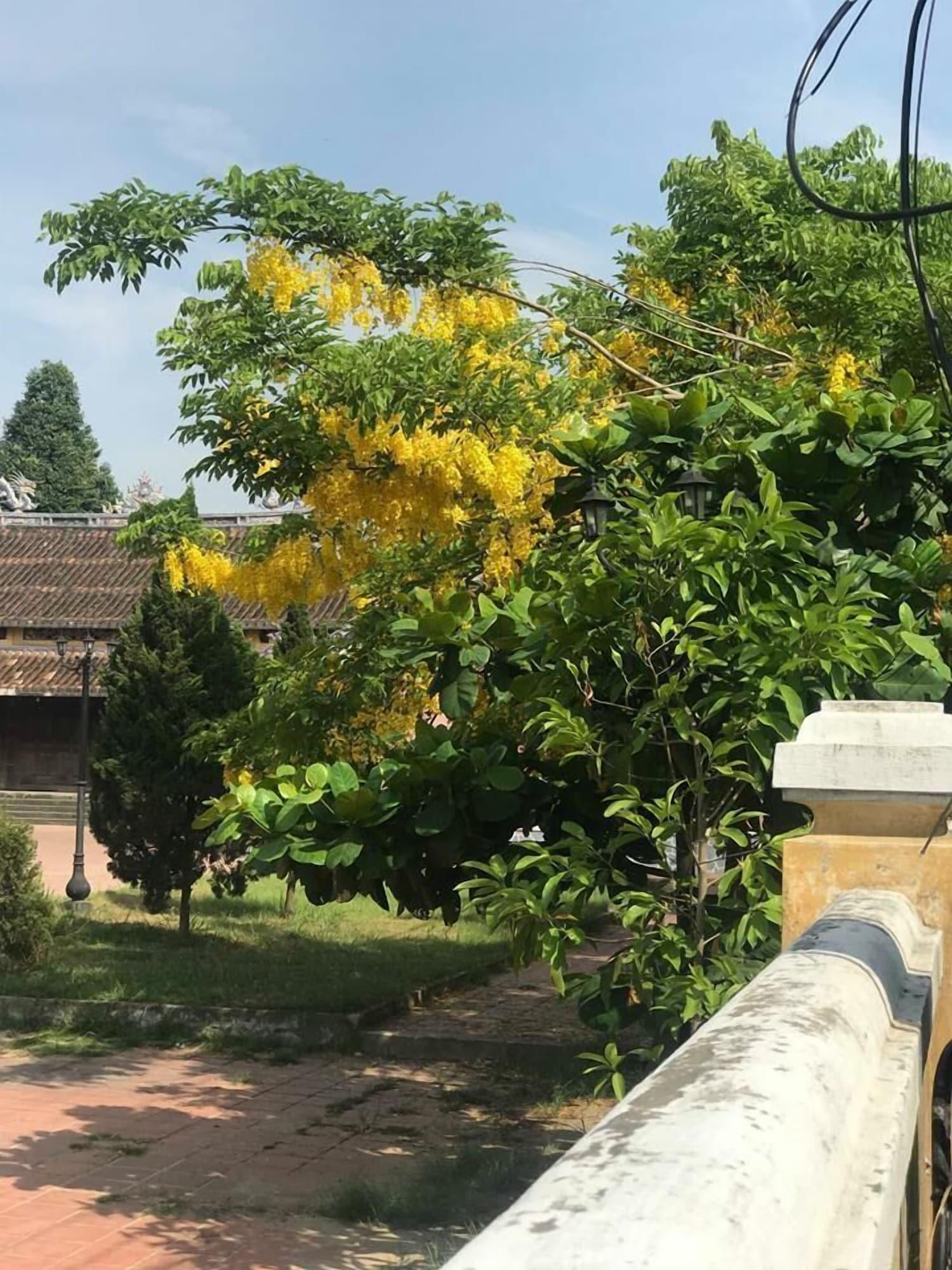 Champa Hoi An Villas Exterior photo
